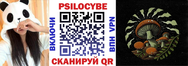 как найти наркотики  Тихорецк  даркнет наркотические препараты  Псилоцибиновые грибы Cubensis 