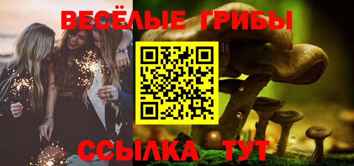 Тихорецк  Галлюциногенные грибы MAGIC MUSHROOMS  Галлюциногенные грибы мицелий  Вход с VPN 